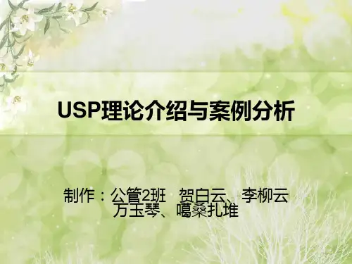 USP理论介绍与案例分析(新)