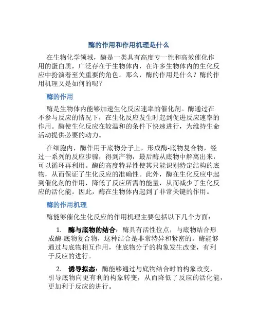 酶的作用和作用机理是什么