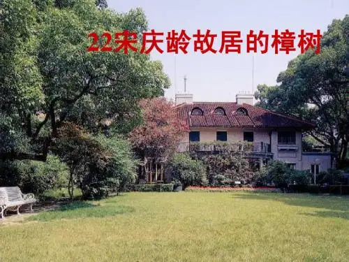 宋庆龄故居的樟树