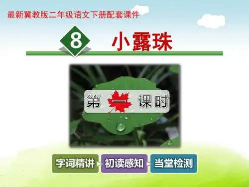 小露珠PPT课件