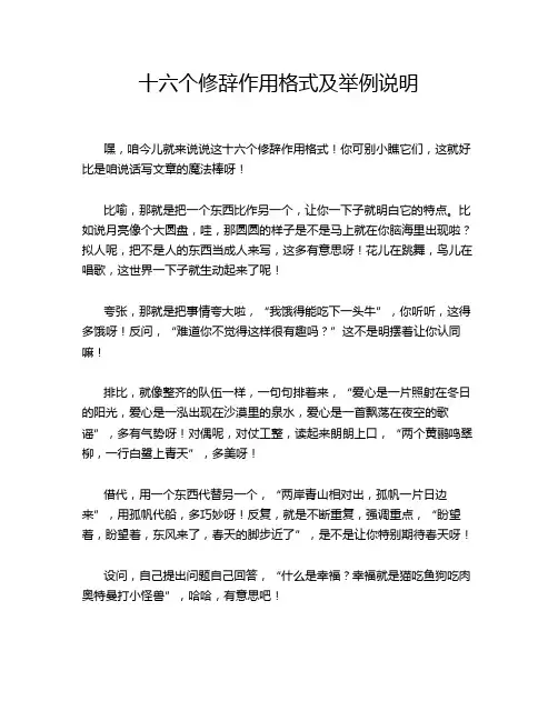 十六个修辞作用格式及举例说明