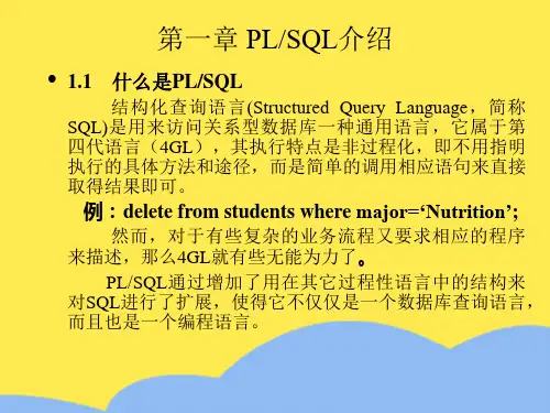 第一章 plsql介绍标准版文档