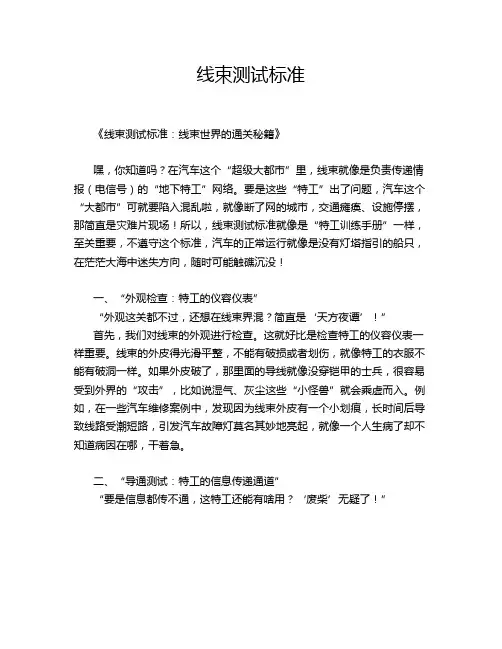 线束测试标准