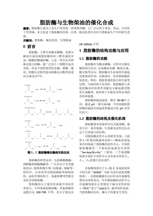 脂肪酶综述