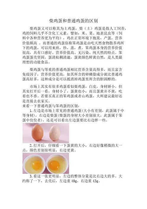 柴鸡蛋和普通鸡蛋的区别