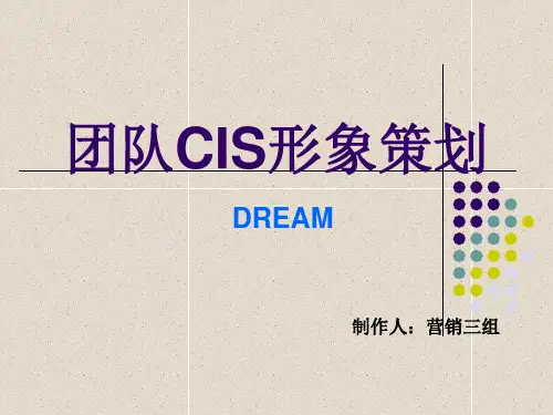 团队CIS形象策划