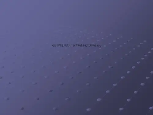 过滤器的选择及其在制药除菌中的应用毕业论文