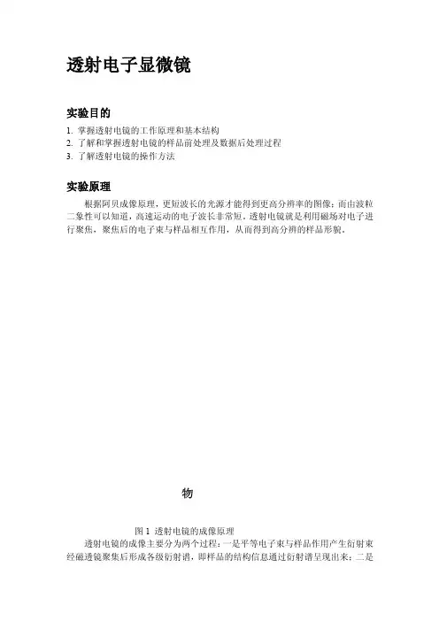 [指南]TEM透射电镜