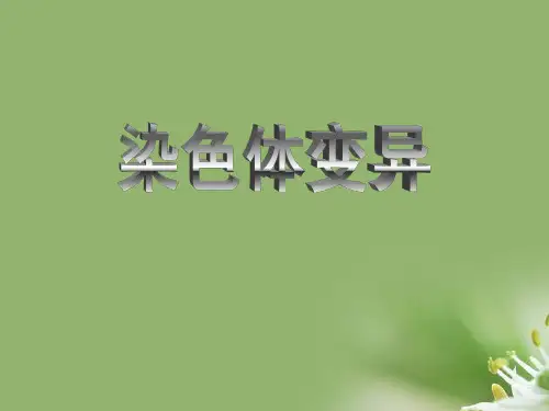 染色体变异ppt32 人教课标版精选教学PPT课件