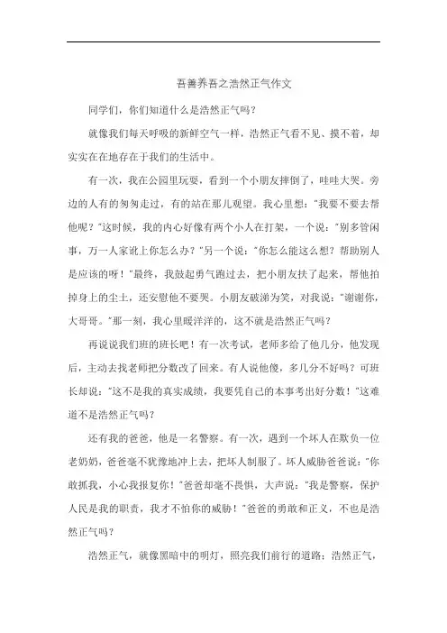 吾善养吾之浩然正气作文
