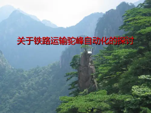 驼峰自动化 PPT课件