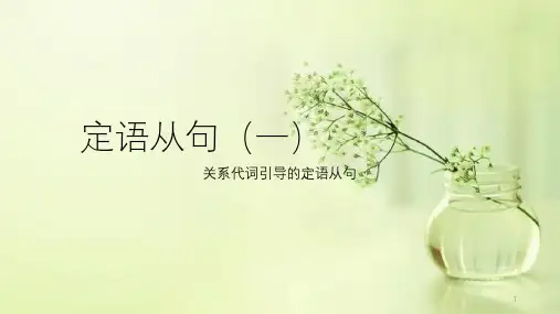 高中英语定语从句——关系代词引导的定语从句课件