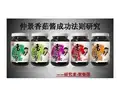 仲景成功法则研究贺春国