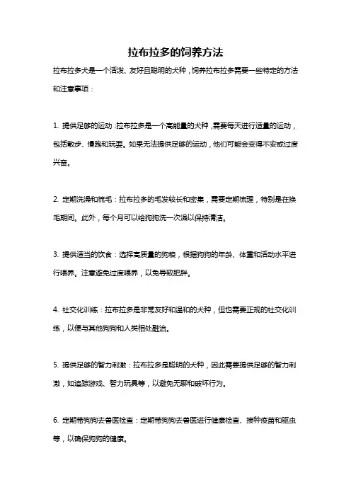 拉布拉多的饲养方法