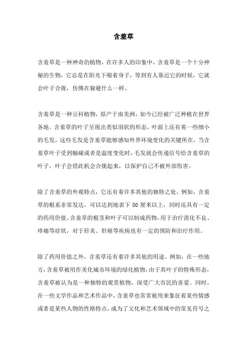 含羞草_精品范文