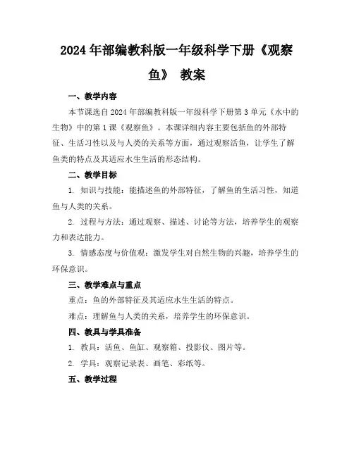 2024年部编教科版一年级科学下册《观察鱼》教案