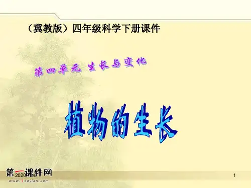 植物的生长 (冀教版)四年级科学下册精品PPT教学课件