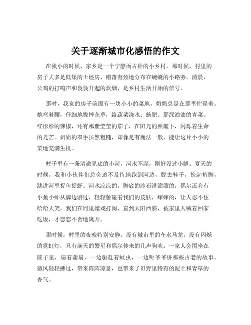 关于逐渐城市化感悟的作文