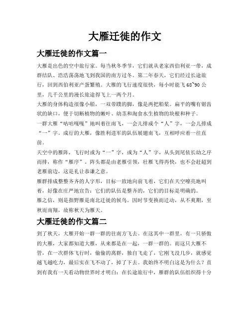 大雁迁徙的作文