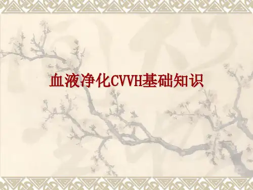 血液净化CVVH基础知识精品PPT课件