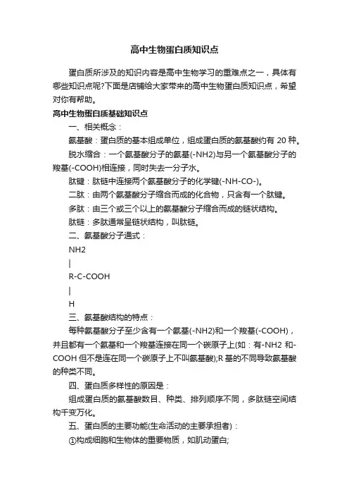 高中生物蛋白质知识点