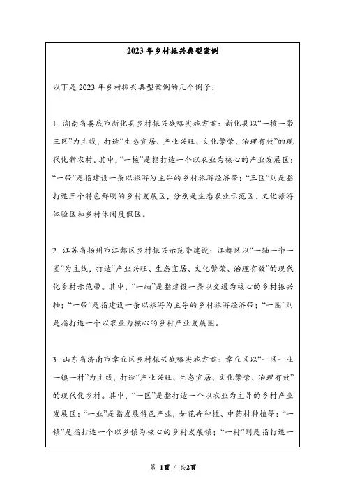 2023年乡村振兴典型案例