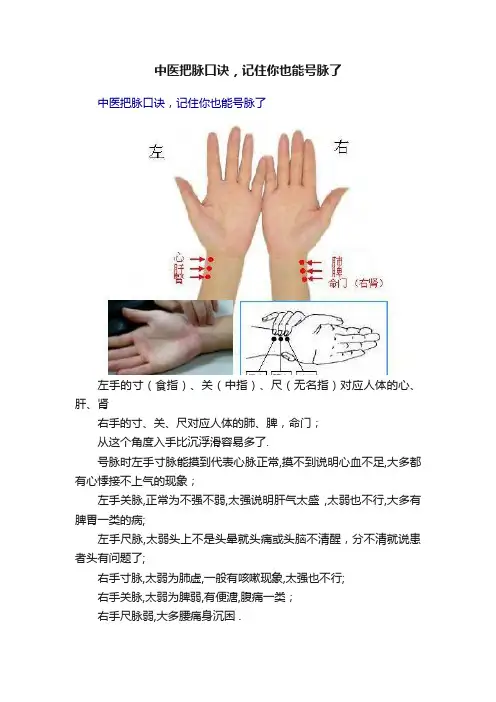 中医把脉口诀，记住你也能号脉了