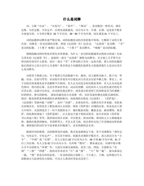 什么是词牌