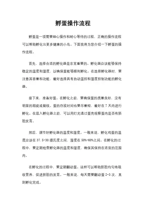 孵蛋操作流程