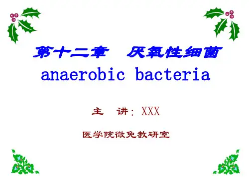 厌氧性细菌