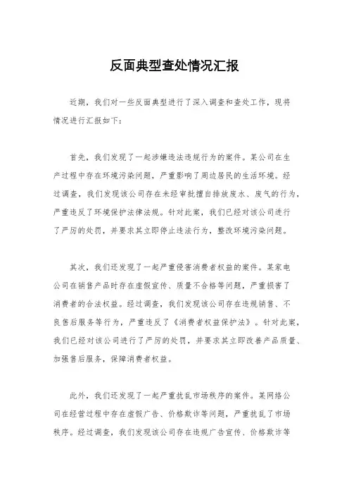 反面典型查处情况汇报