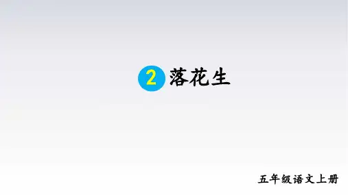 统编版五年级语文上册2《落花生》课件(共32张PPT)