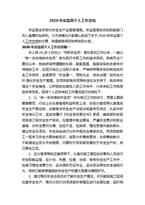2020年安监局个人工作总结