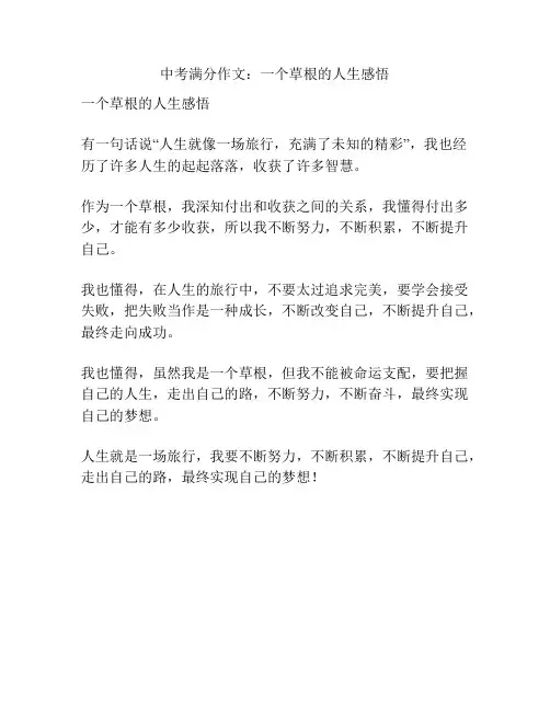 中考满分作文：一个草根的人生感悟