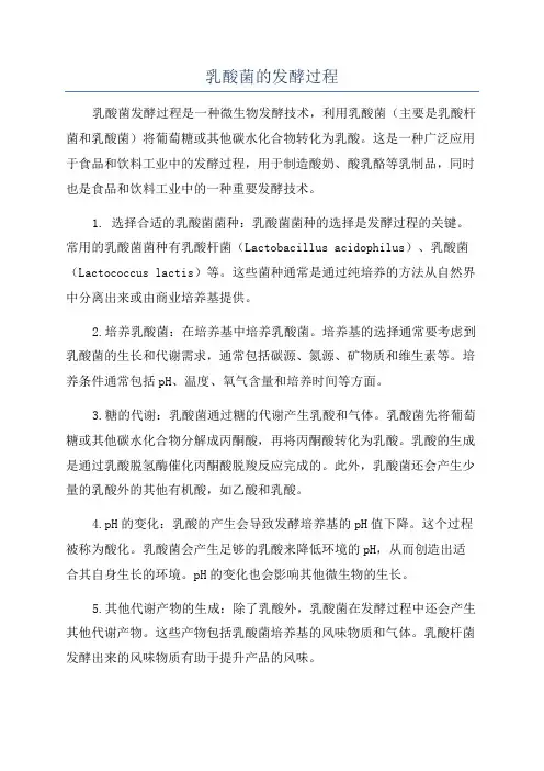 乳酸菌的发酵过程