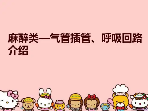 麻醉类—气管插管、呼吸回路介绍