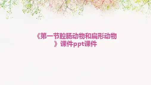 《第一节腔肠动物和扁形动物》课件PPT课件