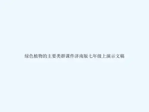 绿色植物的主要类群课件济南版七年级上演示文稿