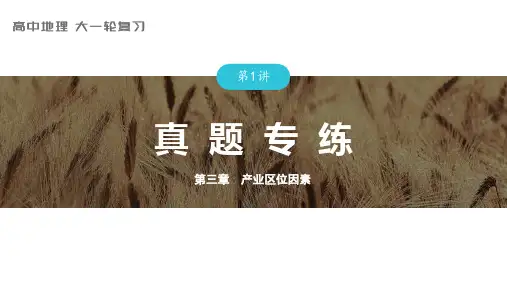2024届高考一轮复习地理课件(新教材人教版)人文地理  第三章真题专练