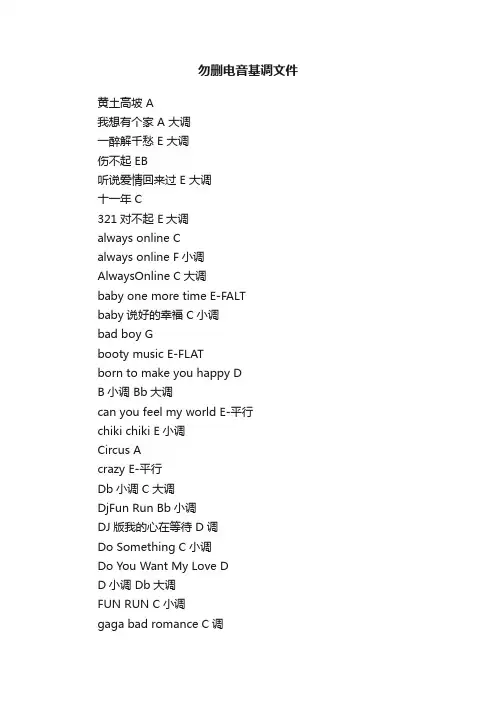 勿删电音基调文件