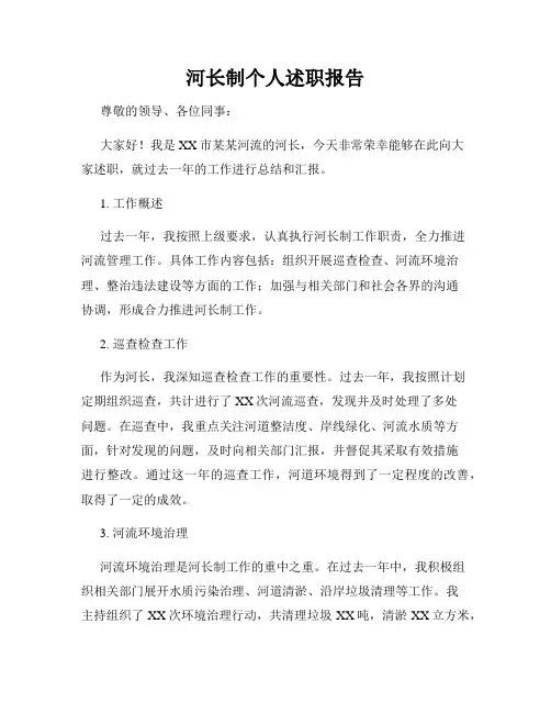 河长制个人述职报告