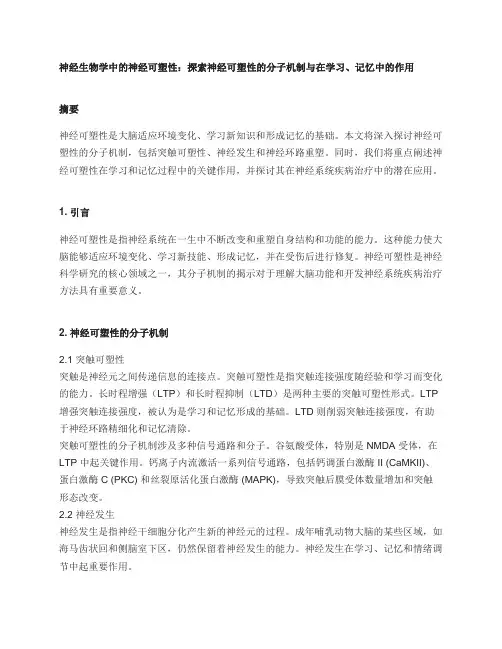 神经生物学中的神经可塑性：探索神经可塑性的分子机制与在学习、记忆中的作用