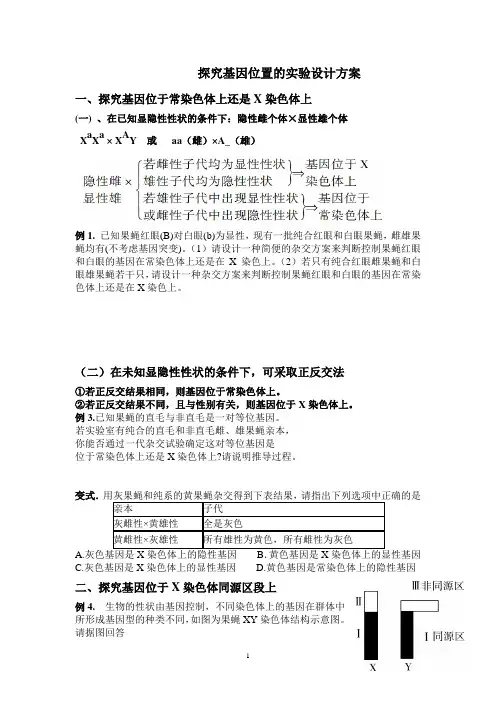 探究基因在染色体上