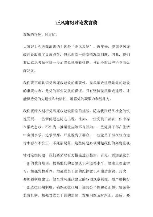 正风肃纪讨论发言稿