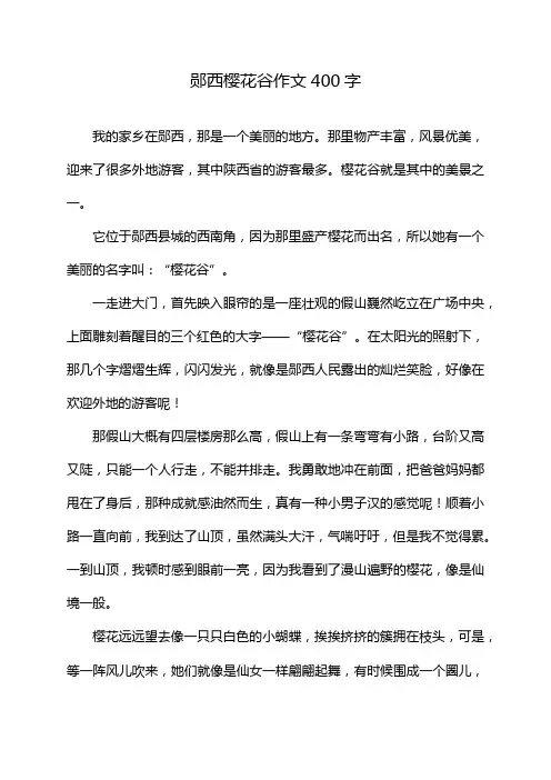 郧西樱花谷作文400字