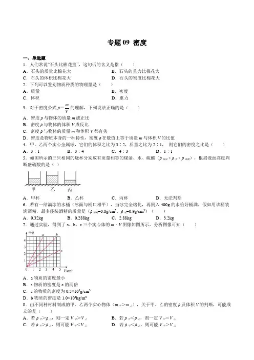 专题09 密度(原卷版)