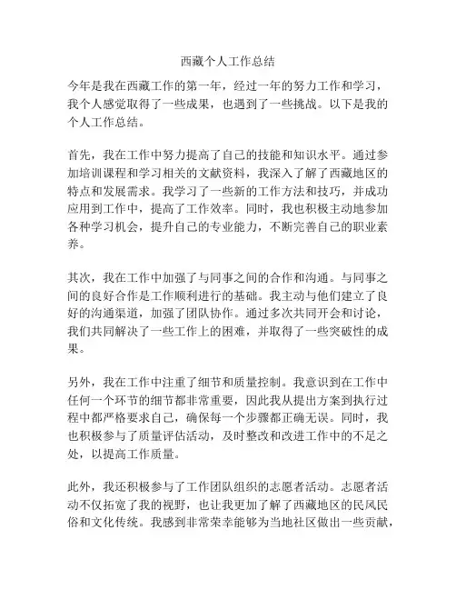 西藏个人工作总结