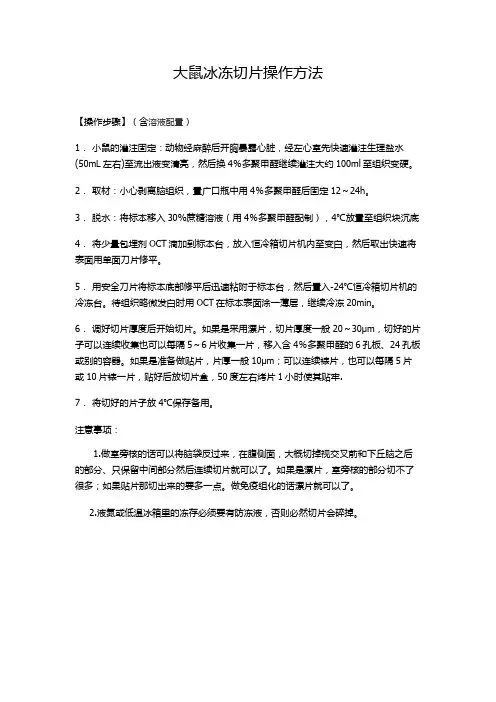 大鼠冰冻切片操作方法