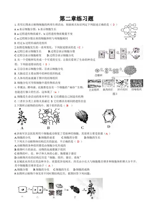 第二章观察生物的结构练习题及答案