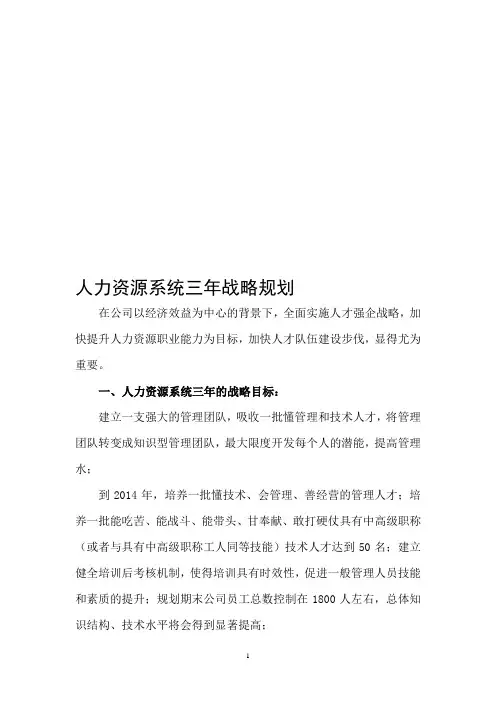 人力资源系统三年战略规划